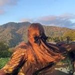 Чтица-синица