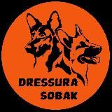 Dressura.sobak