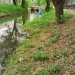 ЧАТ “Оставьте нас в покое”