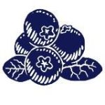 Клюква рекøрдс