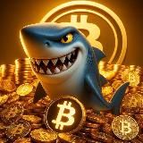 Акула Крипты