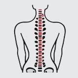 Стоп сутулость и сколиоз. Советы экспертов