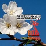 АВАНГАРД НОВОАННИНСКИЙ