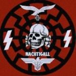 Дивізія УВВ 18+