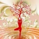 Bestmögliche Gesundheit