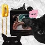 черное кито. ⬛