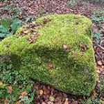 Amtlicher Name vs mensch