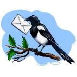 Костромская сорока | Новости Костромы и области