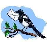 Костромская сорока | Новости Костромы и области