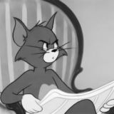 Книжный Кот