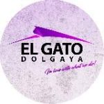 EL GATO D.C. DOLGAYA | ТАНЦЫ | МИНСК | НОВОСТИ