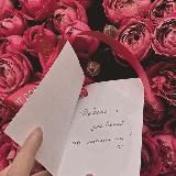 Между нами девочками