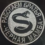 Чёрная Мамба