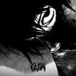 сохраненки fixer