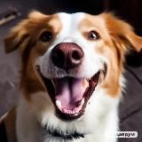 Собака Улыбака