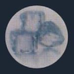 алё малё долби мой лёд