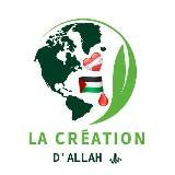 LA CRÉATION D’ALLAH ﷻ