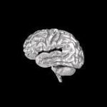 Дубровская