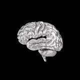 Дубровская