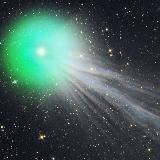 Мяу из России ⬛