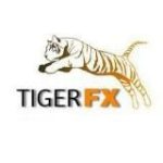 𝐆𝐎𝐋𝐃 𝐕𝐈𝐏 𝐒𝐈𝐆𝐍𝐀𝐋𝐒