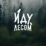 Иду лесом, несу дичь