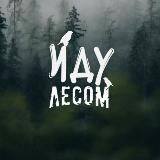 Иду лесом, несу дичь