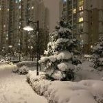 в Подольске любят…