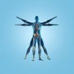 «Человек» медицинская компания