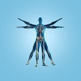 «Человек» медицинская компания