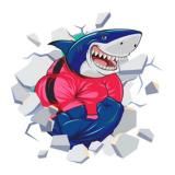 SuperSliv.biz – Слив Платных Курсов и Тренингов!