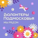 Волонтеры Подмосковья