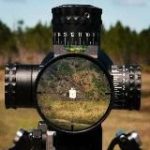 ПОД ПРИЦЕЛОМ