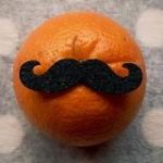 Книжный Сомелье