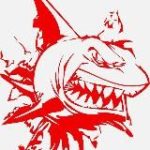 Кроссовки “RED SHARK”