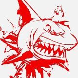 Кроссовки “RED SHARK”