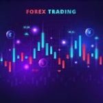 The Contrarian – Crypto Market Analysist