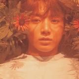 ᴅᴇᴄᴀʟᴄᴏᴍᴀɴɪᴀ