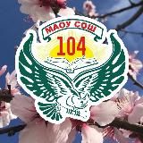 МАОУ СОШ№104
