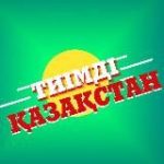 Тиімді Қазақстан