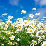 мысли о приятном