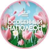 Особенный Наполеон МСК