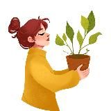 СУККУЛЕНТИУМ