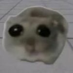 Sad Hamster (PORTAL)
