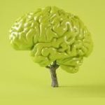 Ника Болзан