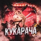 КУКАРАЧА ПРИКОЛЫ