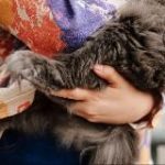 Между нами говоря