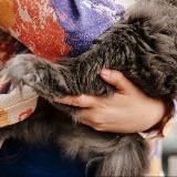 Между нами говоря