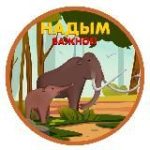 Надым. Важное!