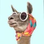 Женская Корпорация